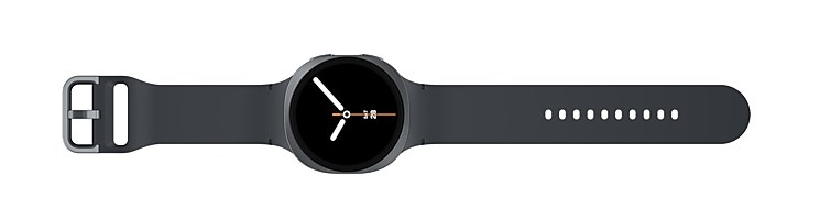 Samsung Galaxy Watch 8 L330 44mm BT grafiitti