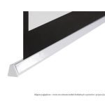 Avtek Business Electric Screen 300P